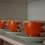 Samardzic تريبينيي