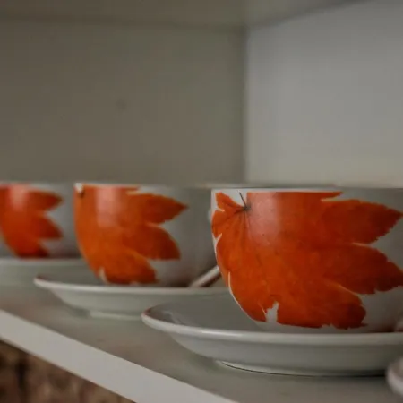 Samardzic تريبينيي