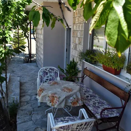 Samardzic * تريبينيي