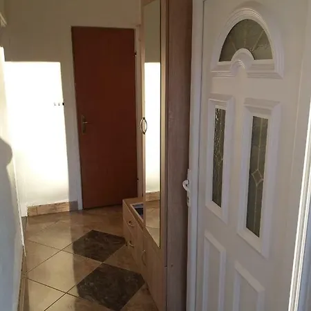 Samardzic تريبينيي